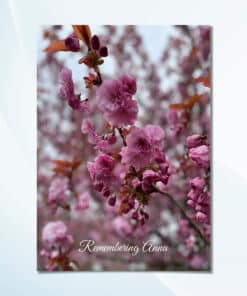 Memorial card featuring beautiful pink blossom flowers on a soft pastel background