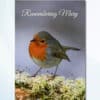 Personalised robin memorial card with folded design and robin image on cover