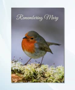 Personalised robin memorial card with folded design and robin image on cover